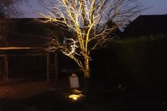 exterior_0000s_0023_20171117_173920