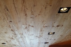 interior_0000s_0162_20140228_104306